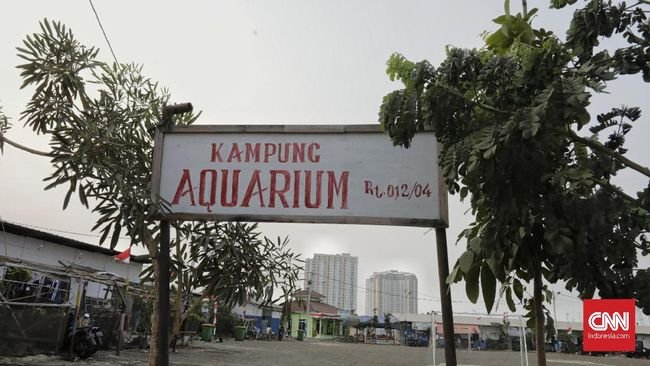 Mengawal Keadilan: Kampung Susun Akuarium Berharap